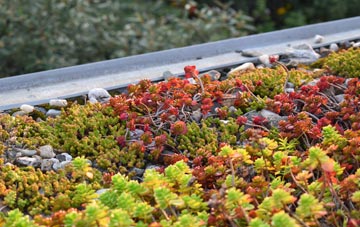 the cost of Hollingthorpe green roof installation