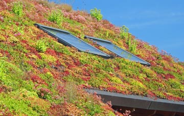 Hollingthorpe living roof systems