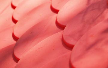 Hollingthorpe plastic roof costs