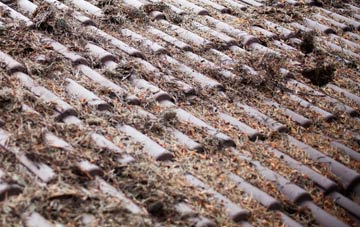 Hollingthorpe roof cleaning companies