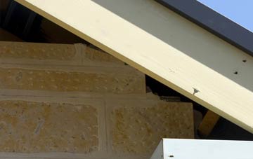 soffit repair Hollingthorpe