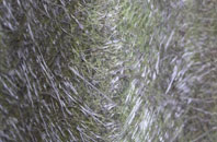 Hollingthorpe fibreglass roof work